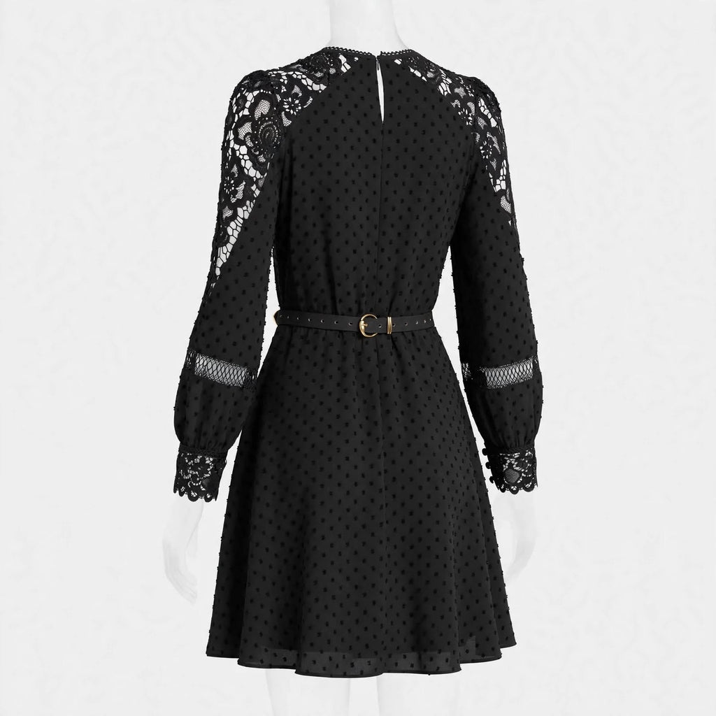 Wo Lace Mini Dress | Long Sleeve Polyester Dress For Women