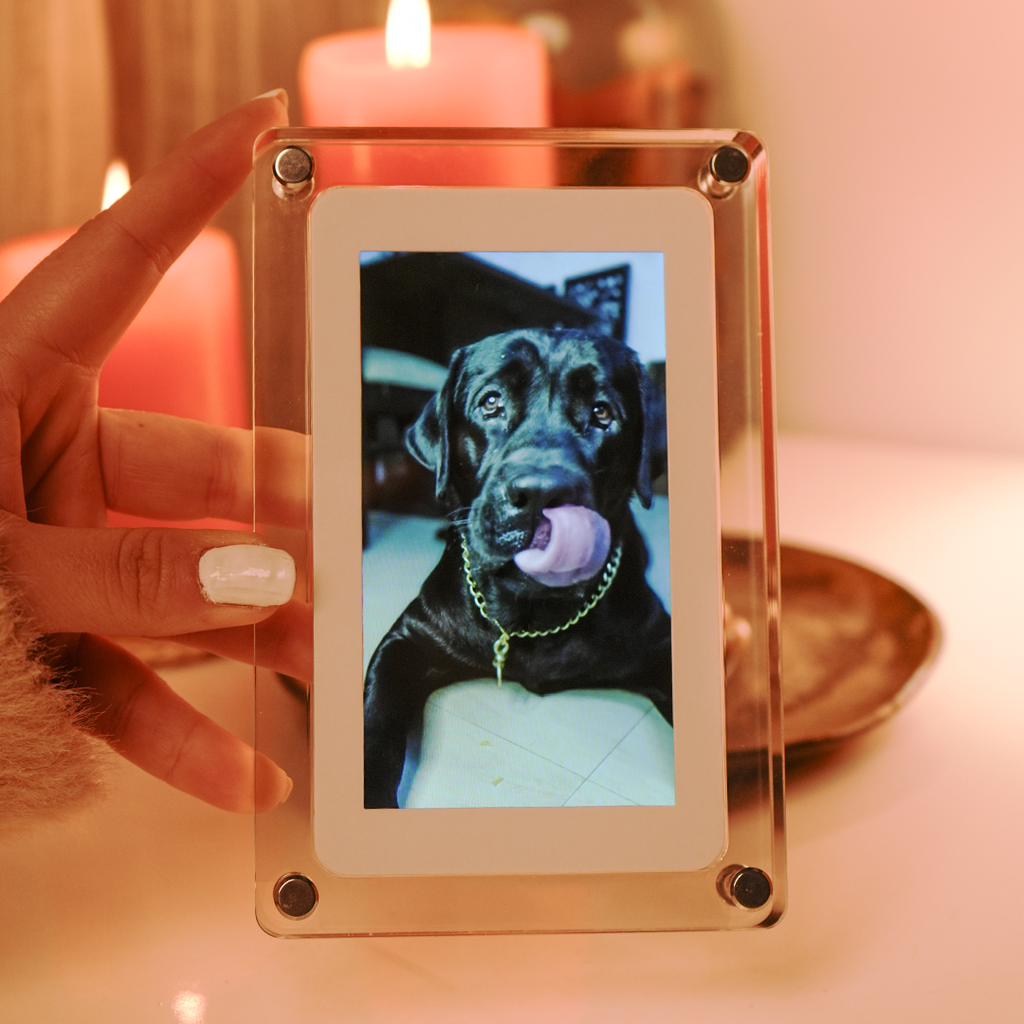 Digital Photo & Video Frame